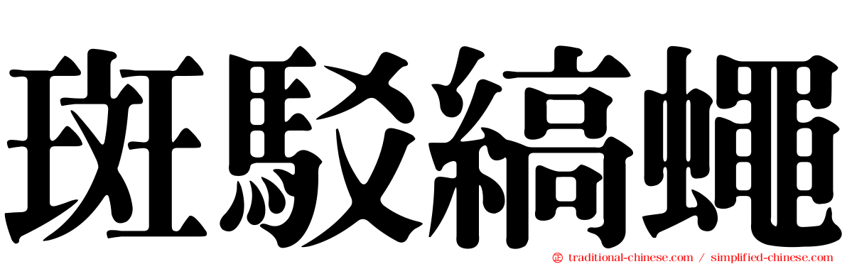 斑駁縞蠅
