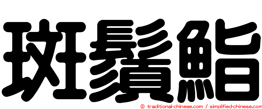 斑鬚鮨