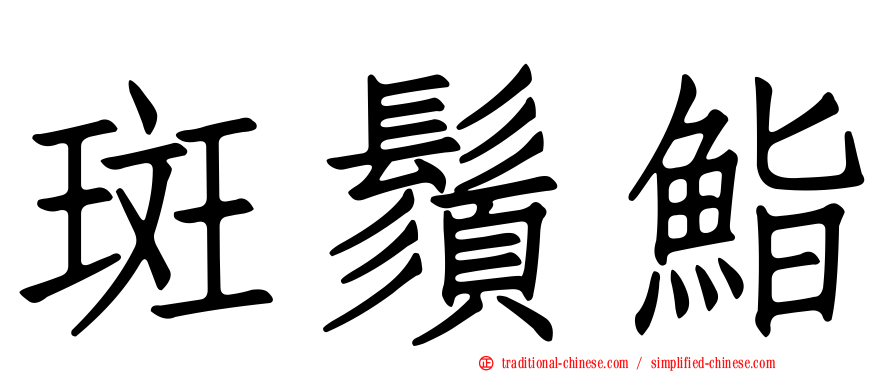 斑鬚鮨