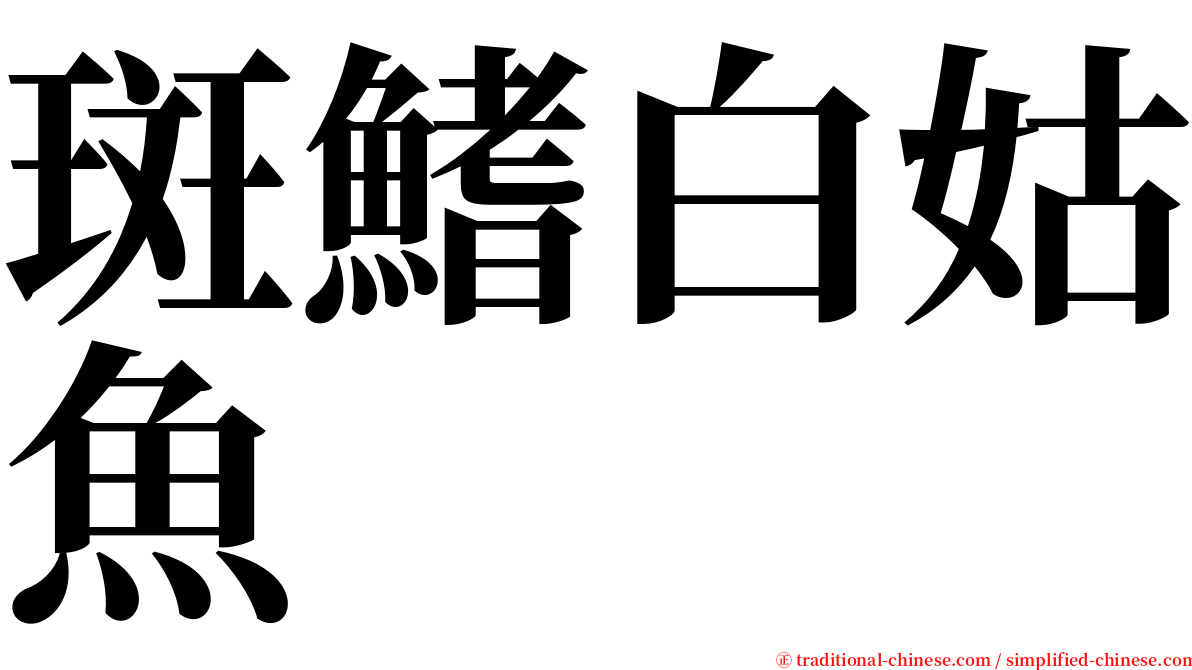 斑鰭白姑魚 serif font