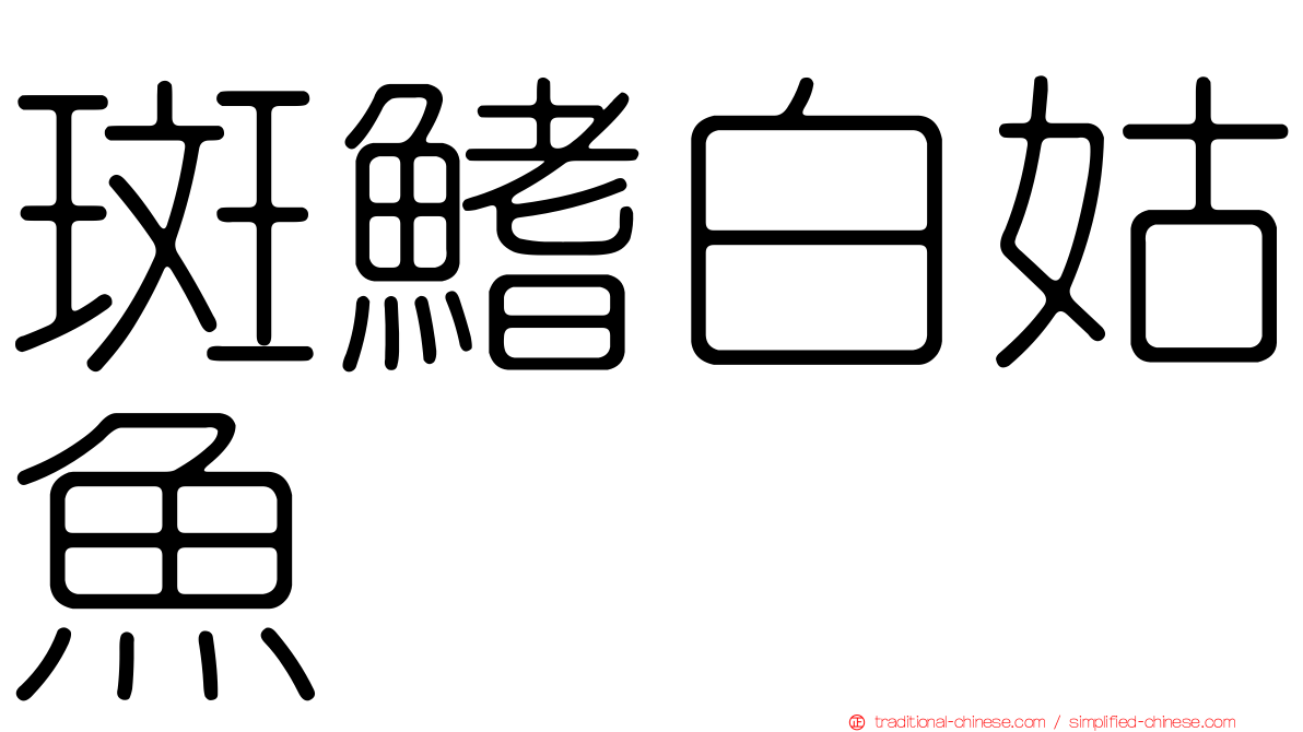 斑鰭白姑魚