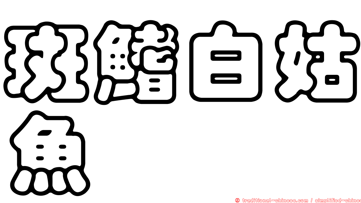 斑鰭白姑魚