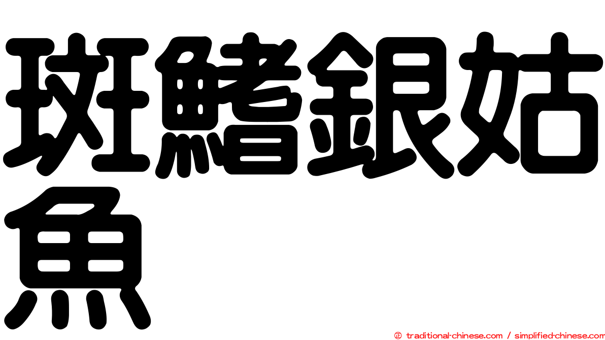 斑鰭銀姑魚