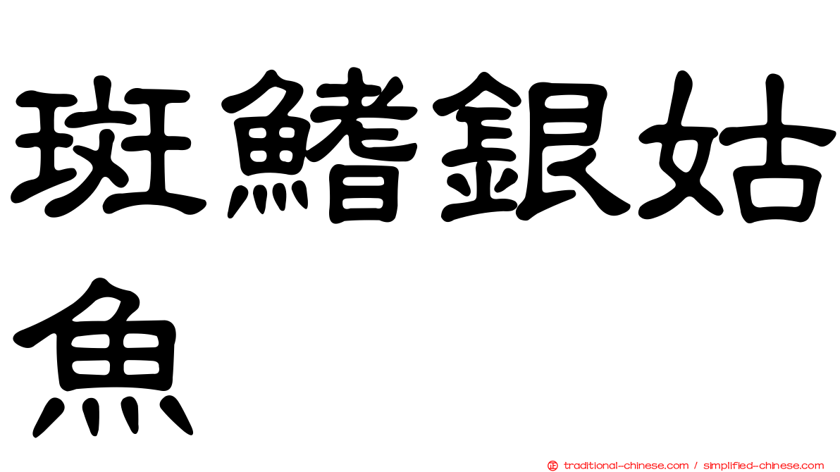 斑鰭銀姑魚