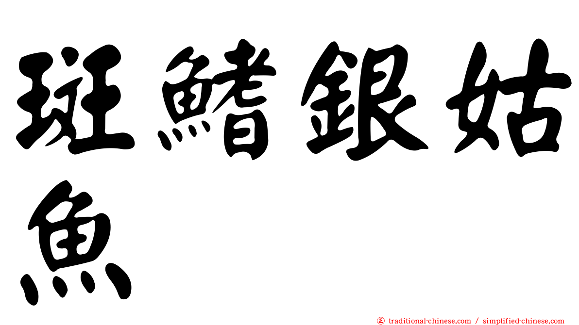 斑鰭銀姑魚