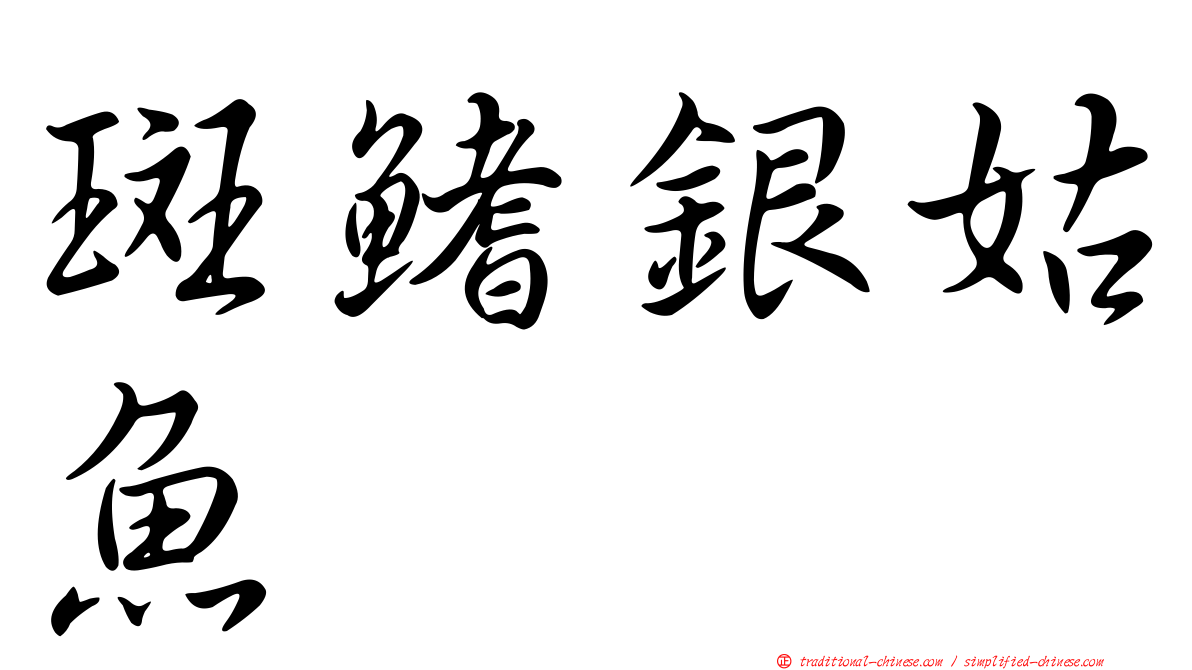 斑鰭銀姑魚