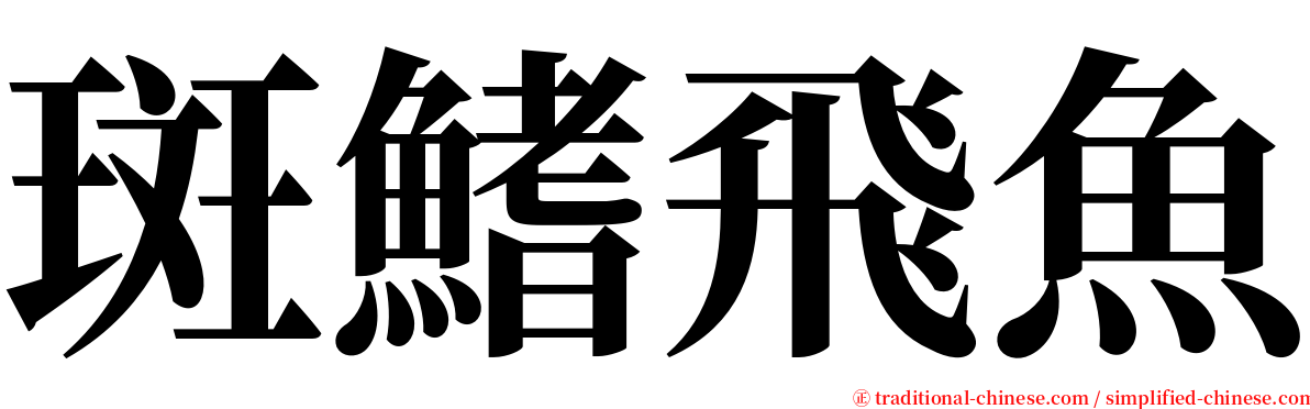 斑鰭飛魚 serif font