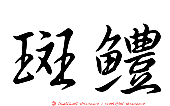 斑鱧