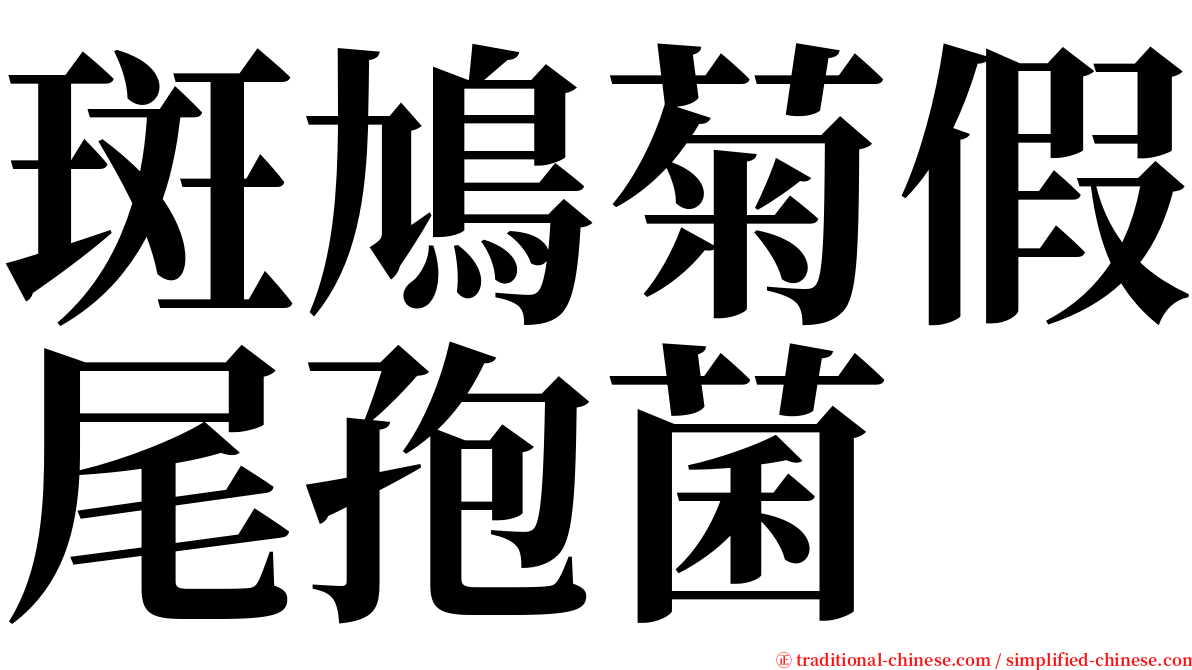 斑鳩菊假尾孢菌 serif font