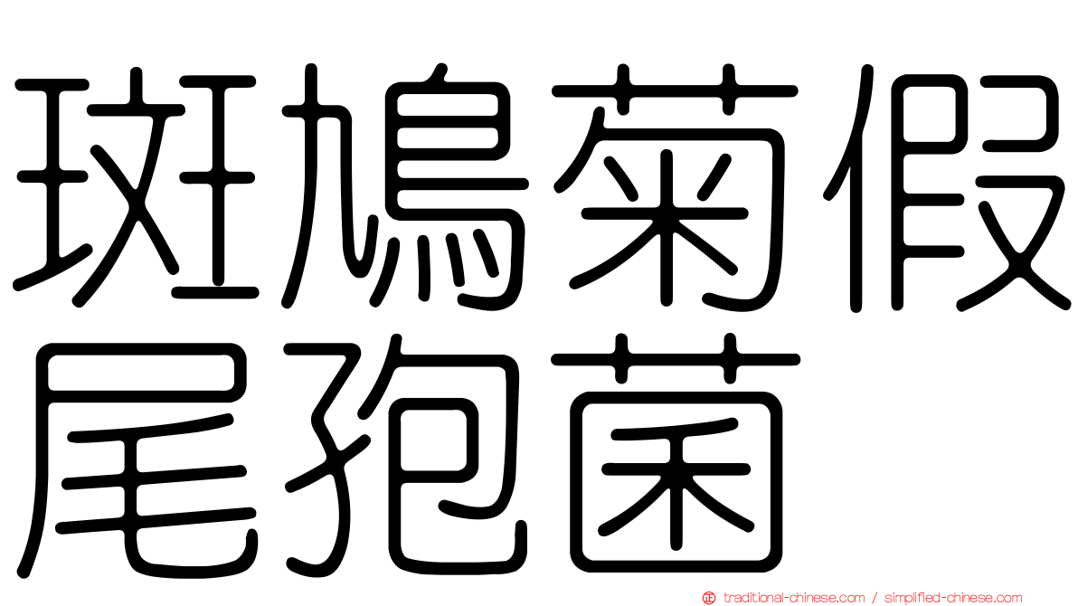 斑鳩菊假尾孢菌