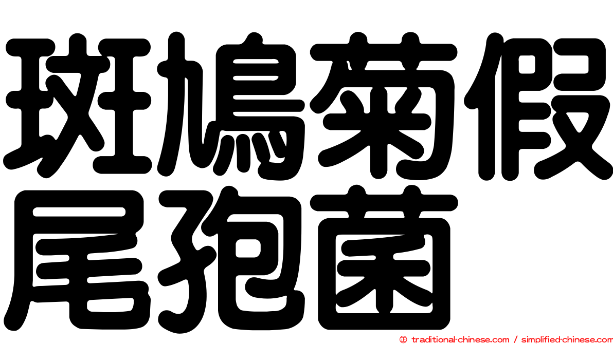 斑鳩菊假尾孢菌