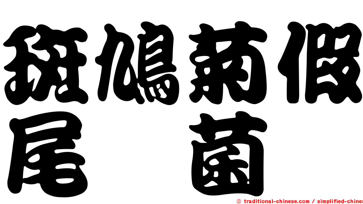 斑鳩菊假尾孢菌