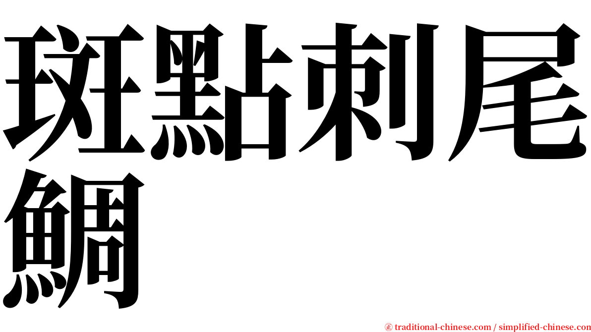 斑點刺尾鯛 serif font