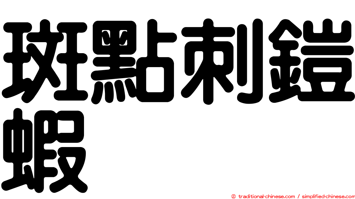 斑點刺鎧蝦