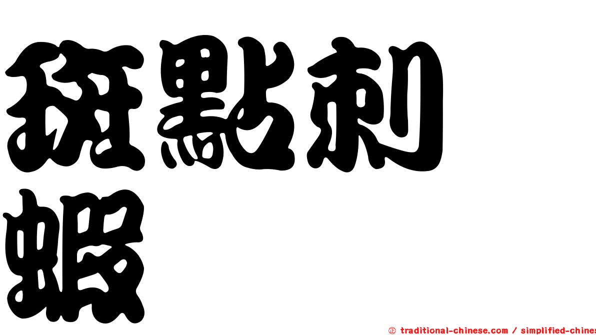 斑點刺鎧蝦