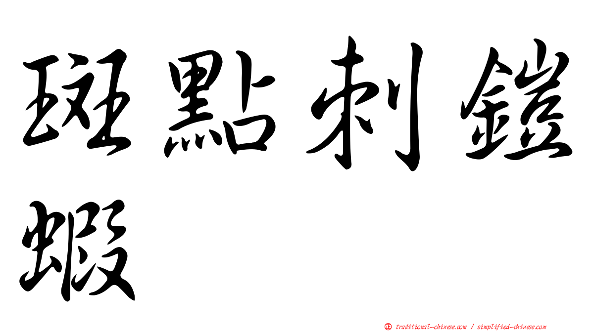 斑點刺鎧蝦