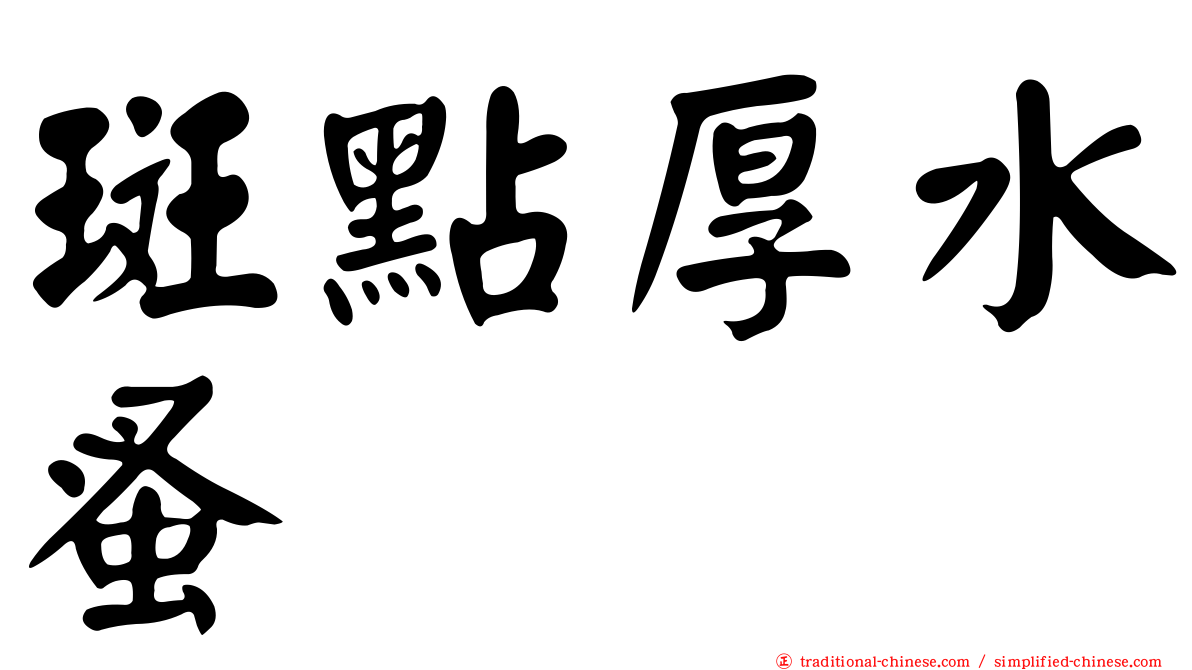 斑點厚水蚤