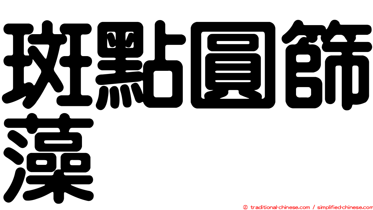 斑點圓篩藻