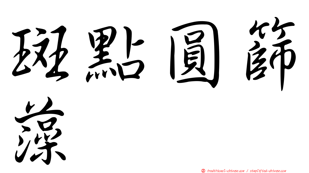 斑點圓篩藻