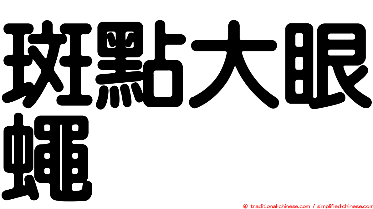 斑點大眼蠅