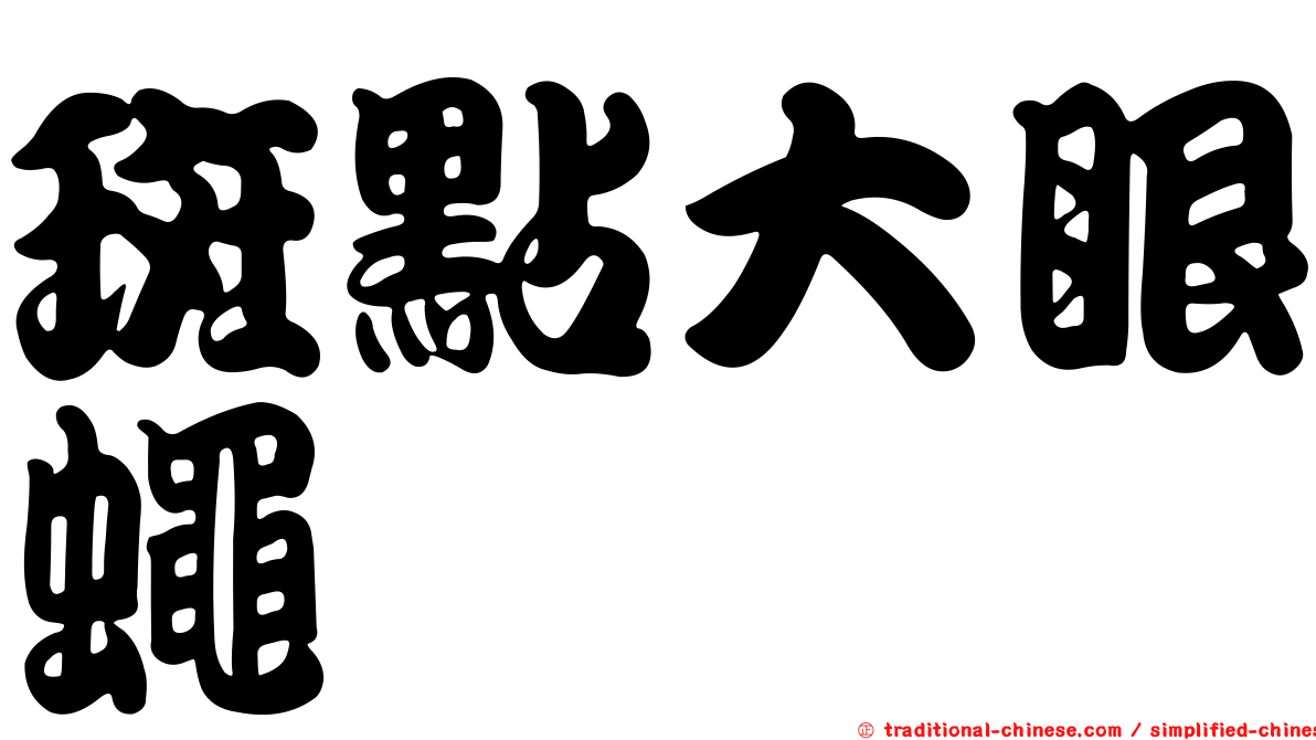 斑點大眼蠅