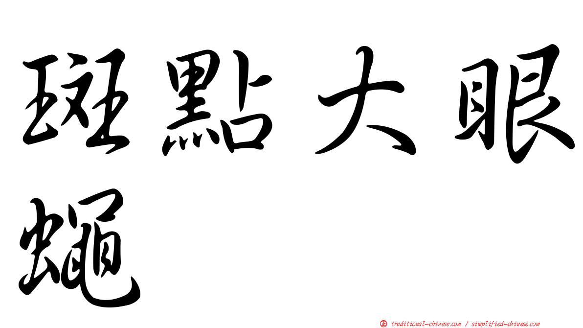 斑點大眼蠅