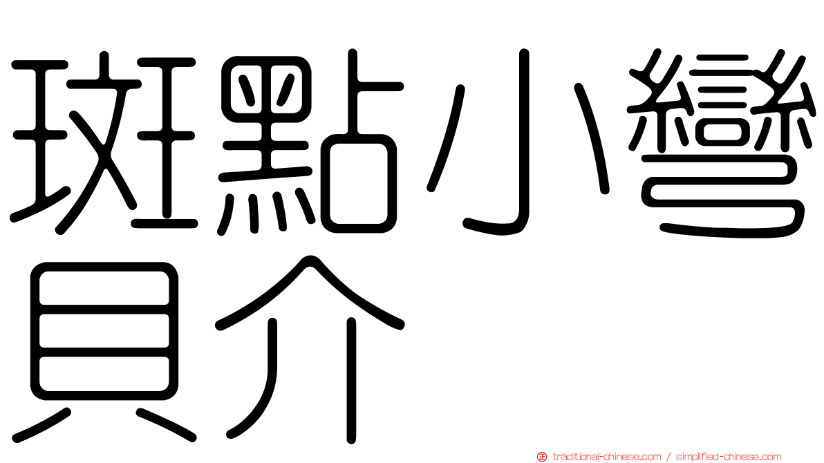斑點小彎貝介