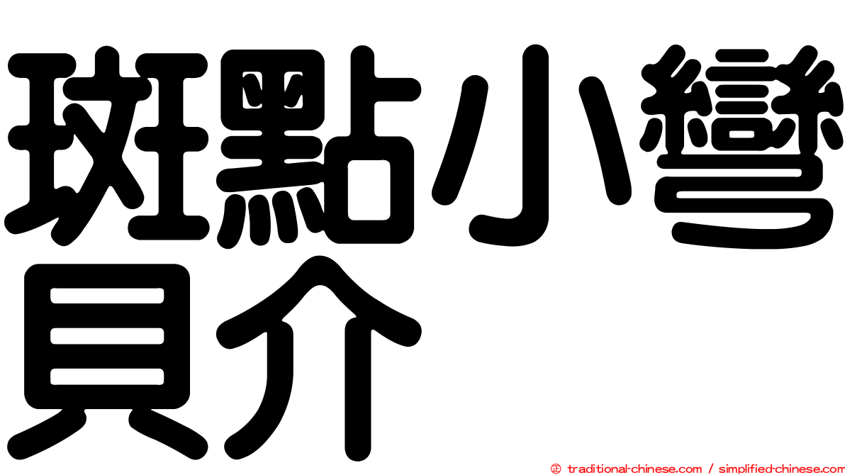 斑點小彎貝介