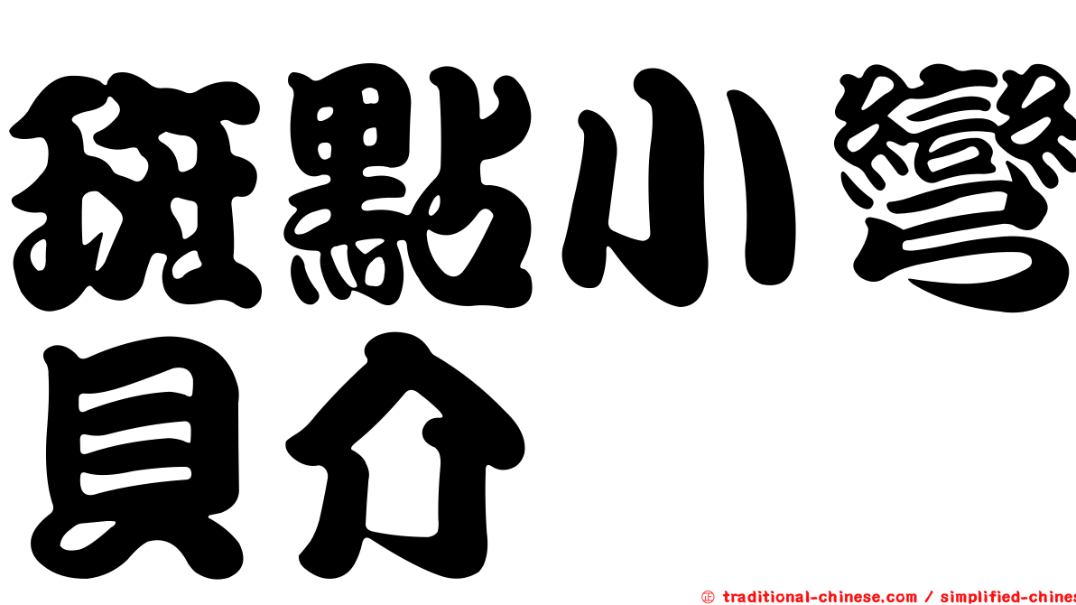 斑點小彎貝介