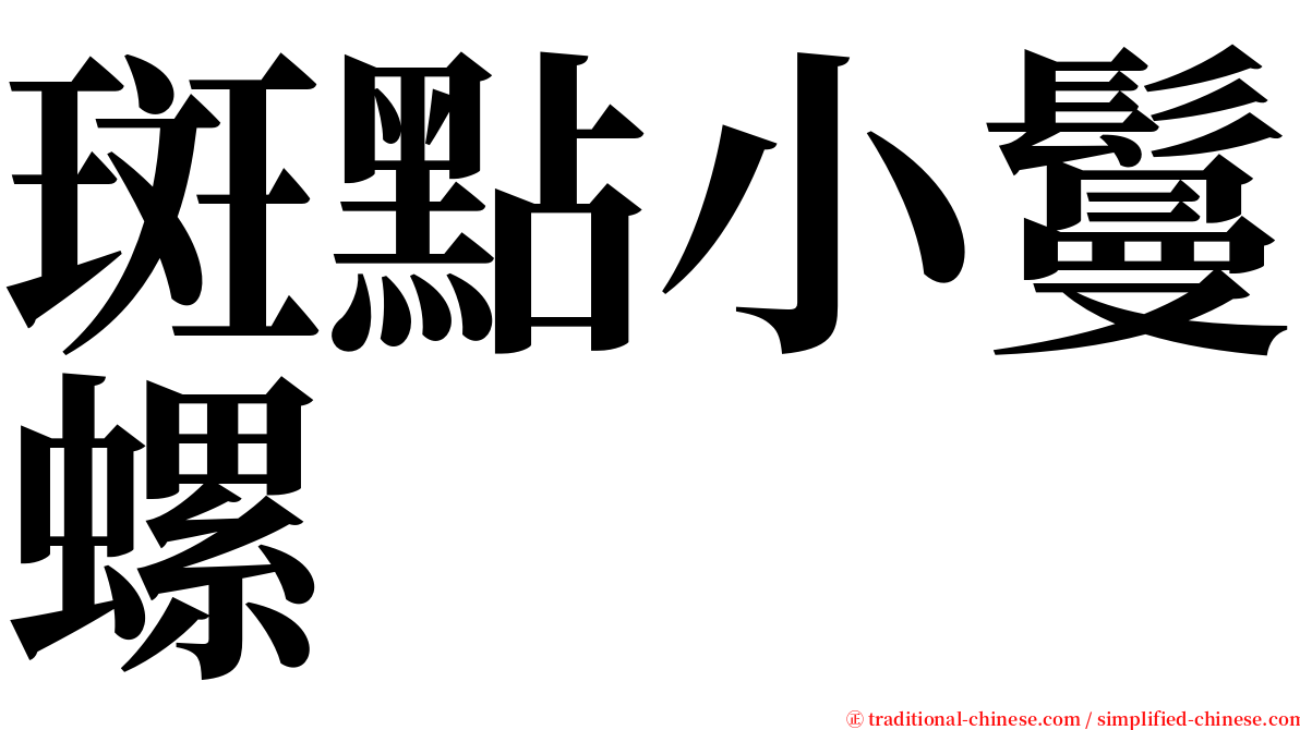 斑點小鬘螺 serif font