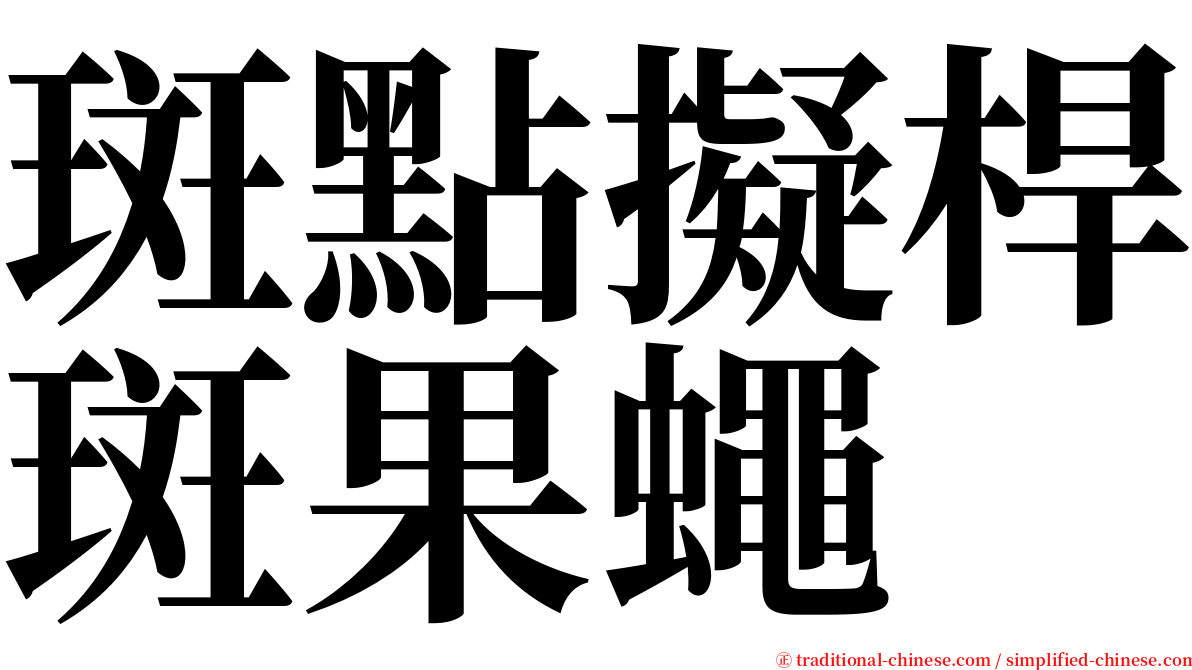 斑點擬桿斑果蠅 serif font