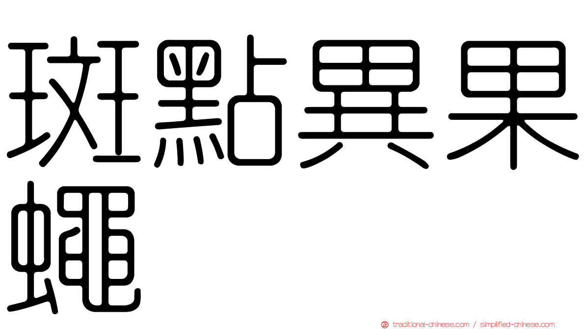 斑點異果蠅