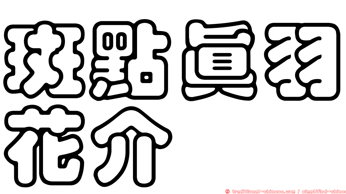 斑點真羽花介