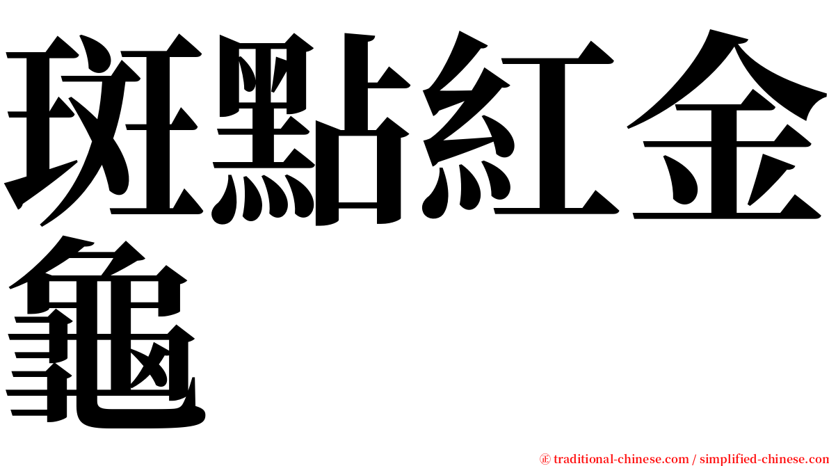 斑點紅金龜 serif font