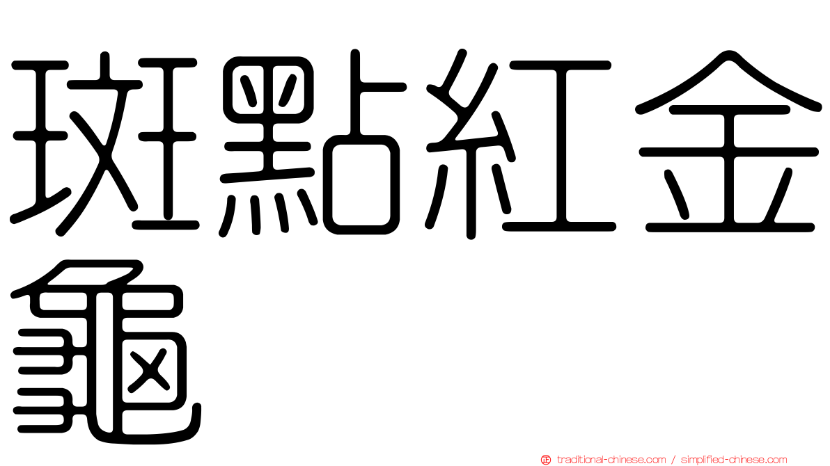 斑點紅金龜