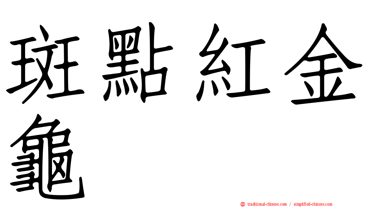 斑點紅金龜