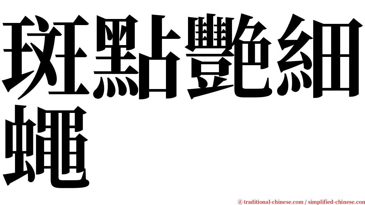 斑點艷細蠅 serif font