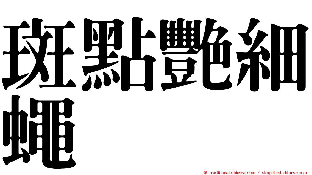 斑點艷細蠅