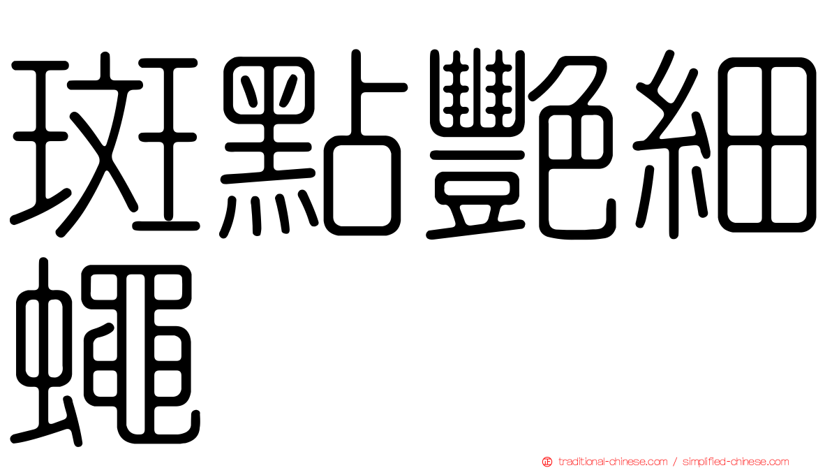 斑點艷細蠅