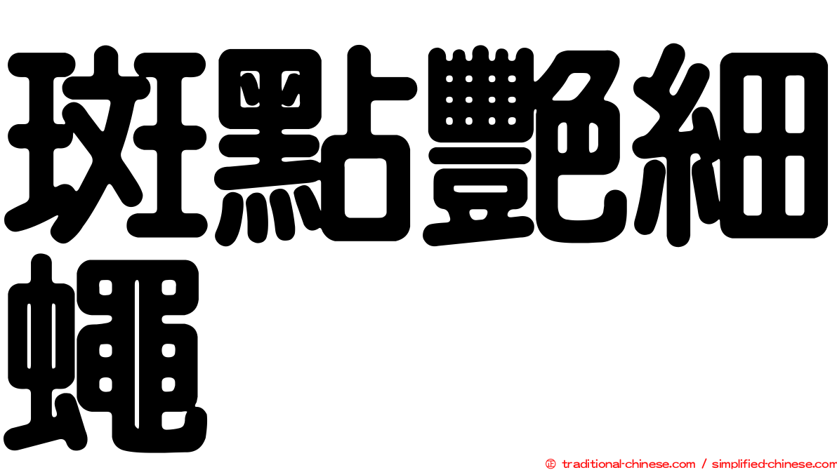 斑點艷細蠅