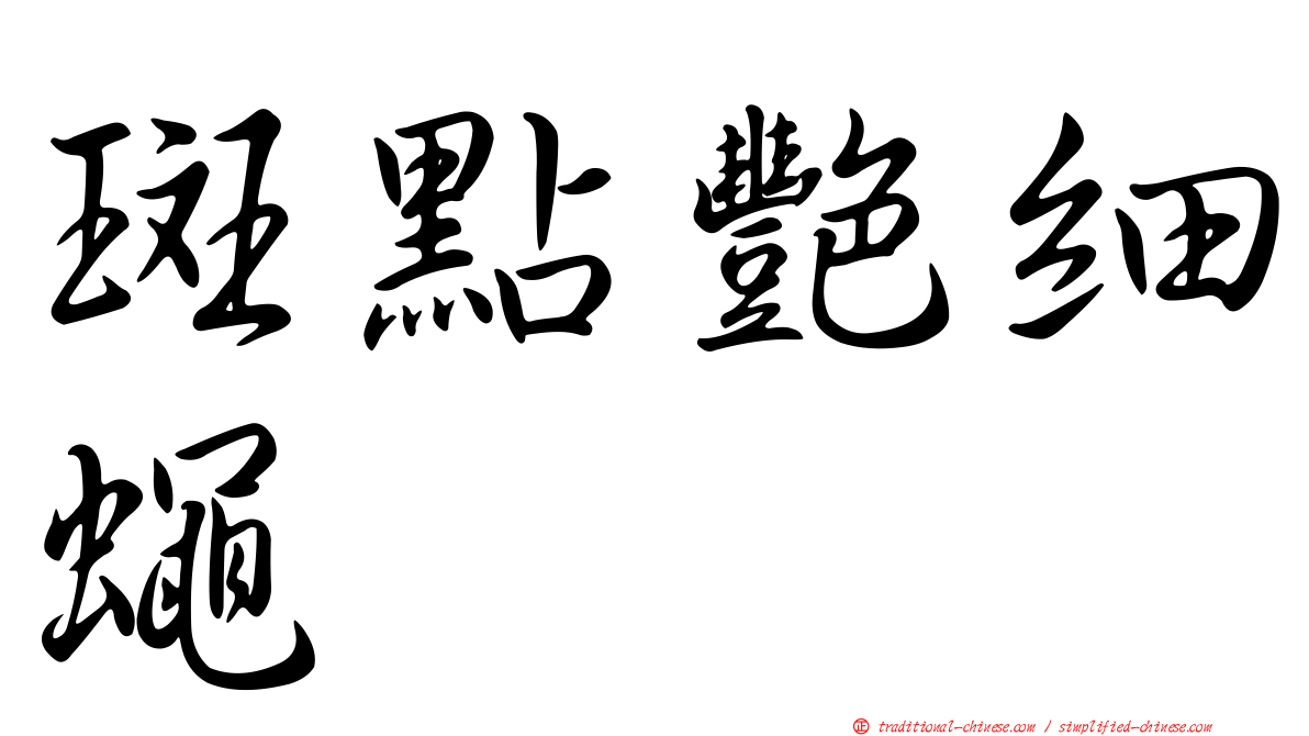 斑點艷細蠅