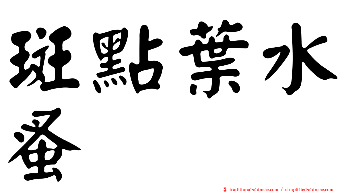 斑點葉水蚤