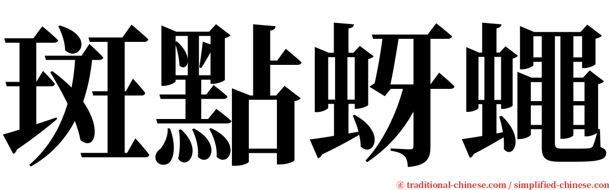 斑點蚜蠅 serif font