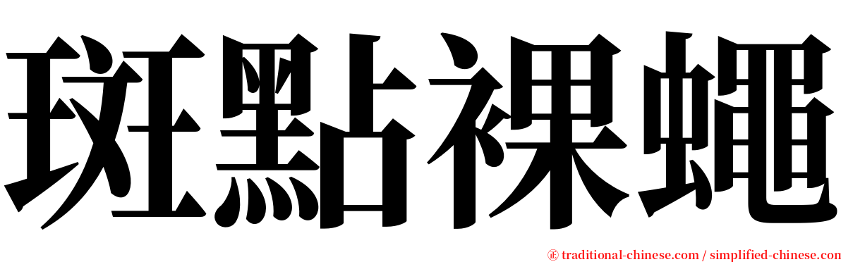 斑點裸蠅 serif font