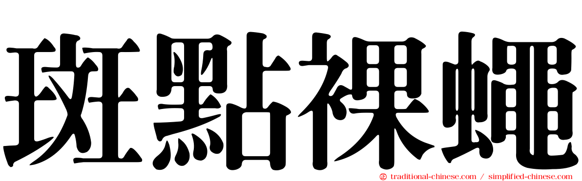 斑點裸蠅