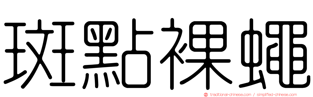 斑點裸蠅