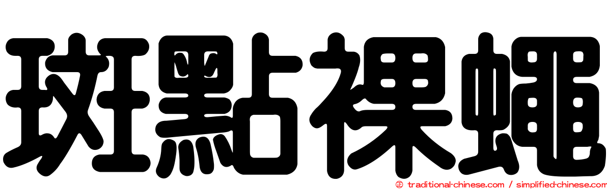 斑點裸蠅