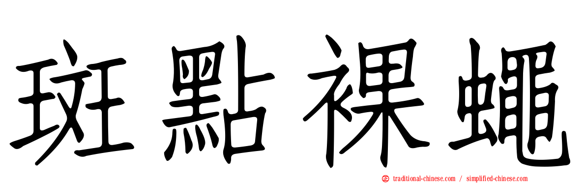 斑點裸蠅