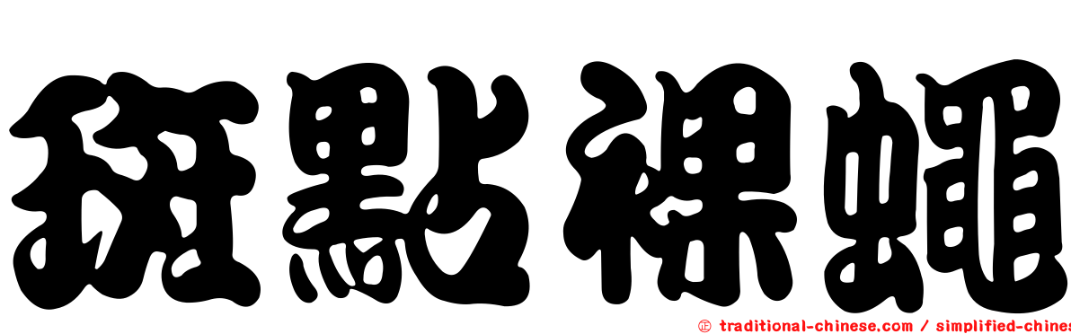 斑點裸蠅