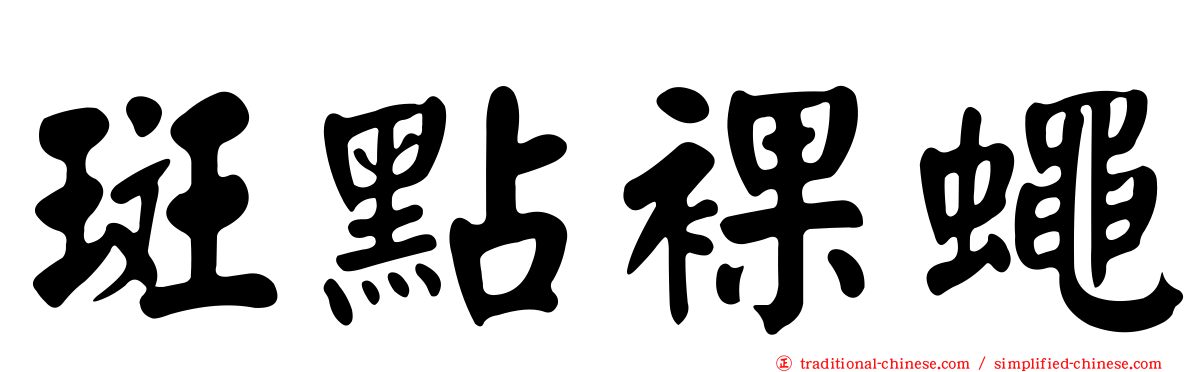 斑點裸蠅
